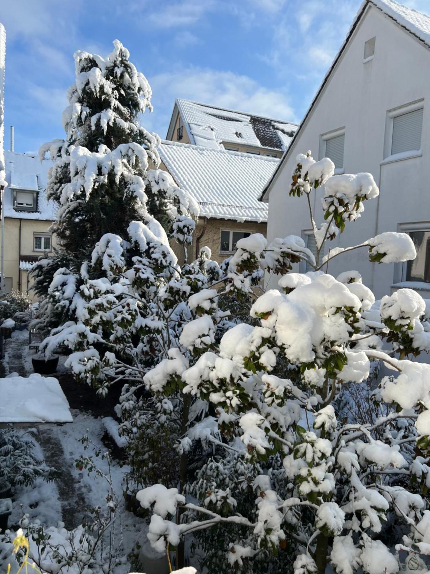 Haus Pia Executive Apartments Friedrichshafen Luaran gambar